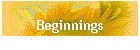 Beginnings