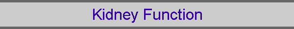 Kidney Function